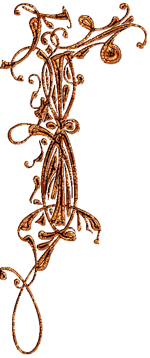 100bordure1168