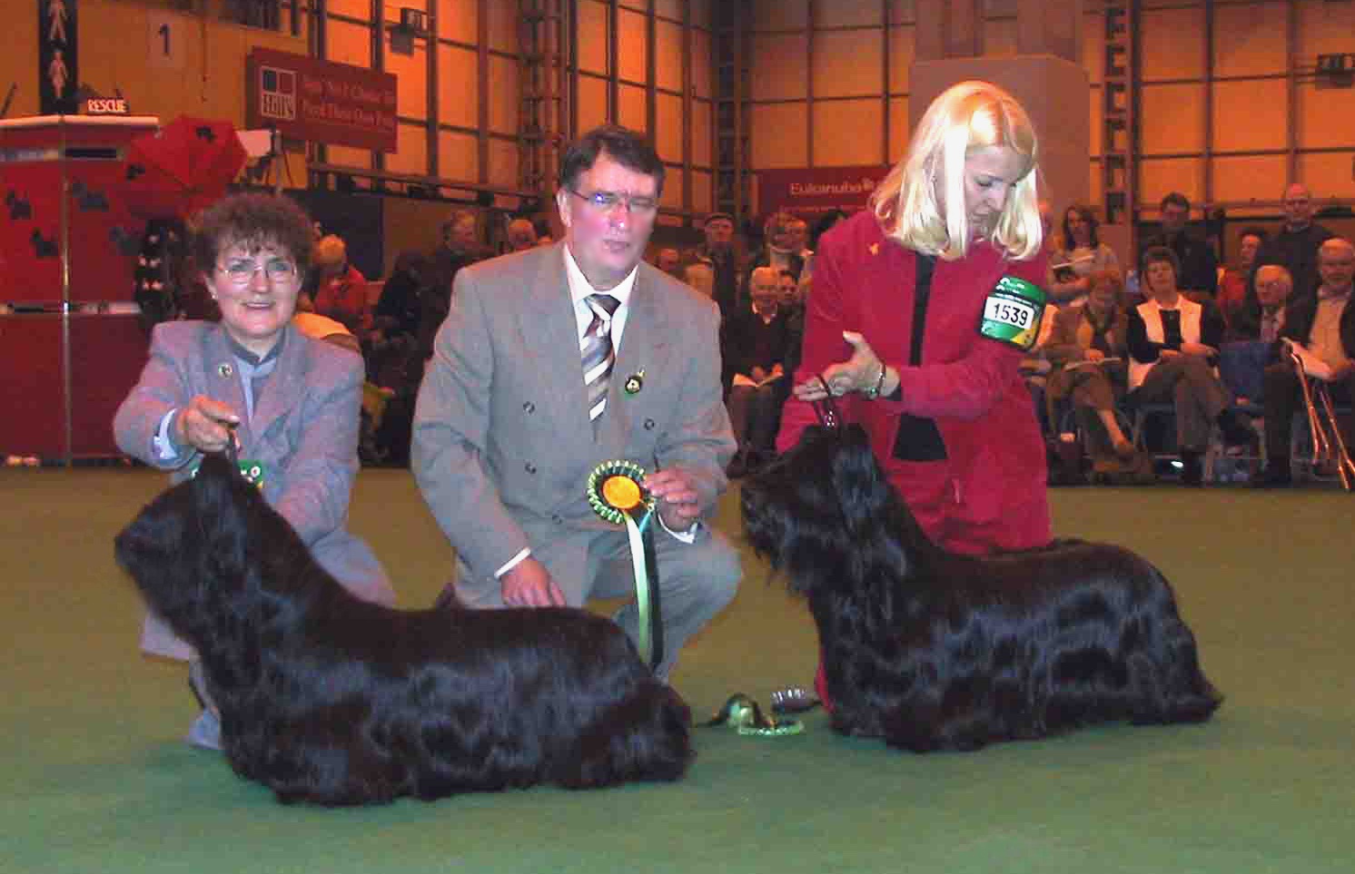 Crufts20051