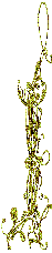 100bordure1158