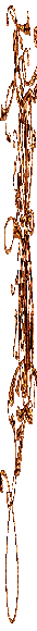 100bordure1