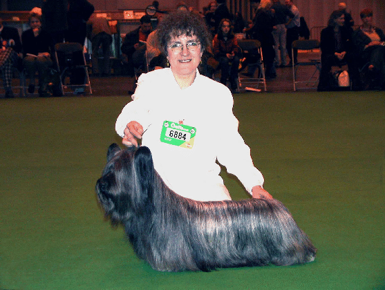 Ch. Heres Pandora of Morningsky Crufts 2002 a i