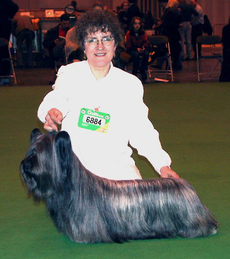 Ch. Heres Pandora of Morningsky Crufts 2002 a i02