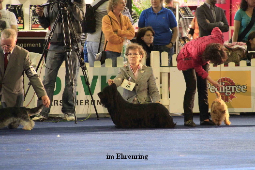 Ehrenring ielke
