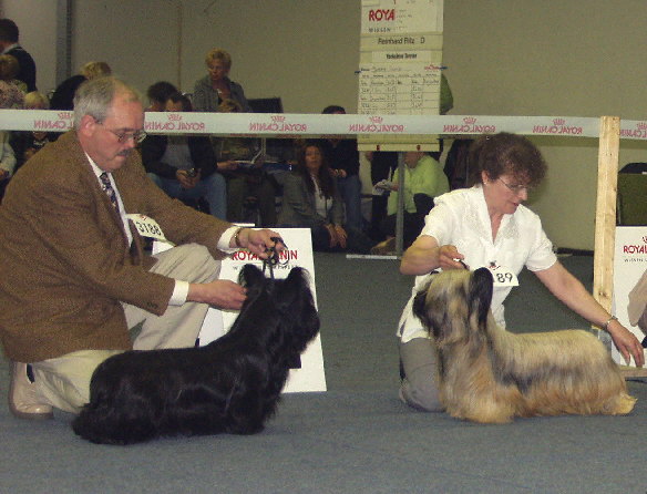 Europasieger 2005 in Dortmund