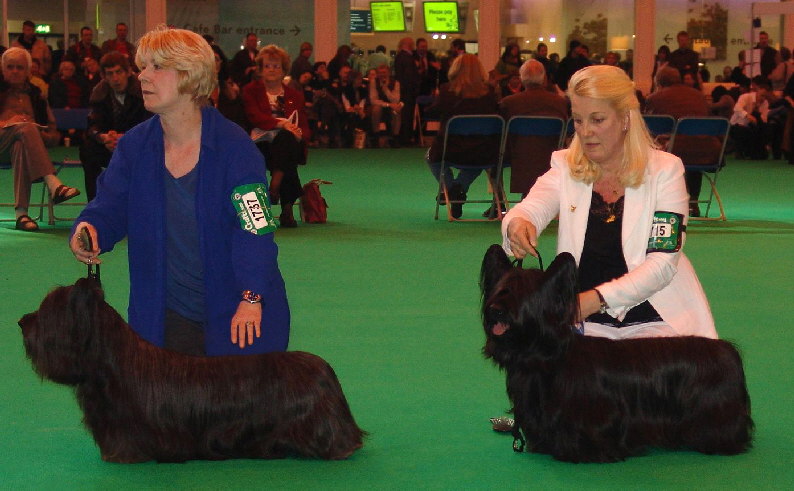 Winston Crufts 2009