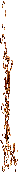 sch�rgelbr06