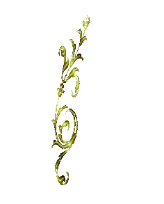 schnrgeltrans1