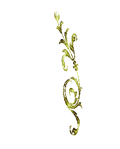 schnrgeltrans1